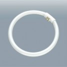 Tub fluorescent tubular FCS 22w